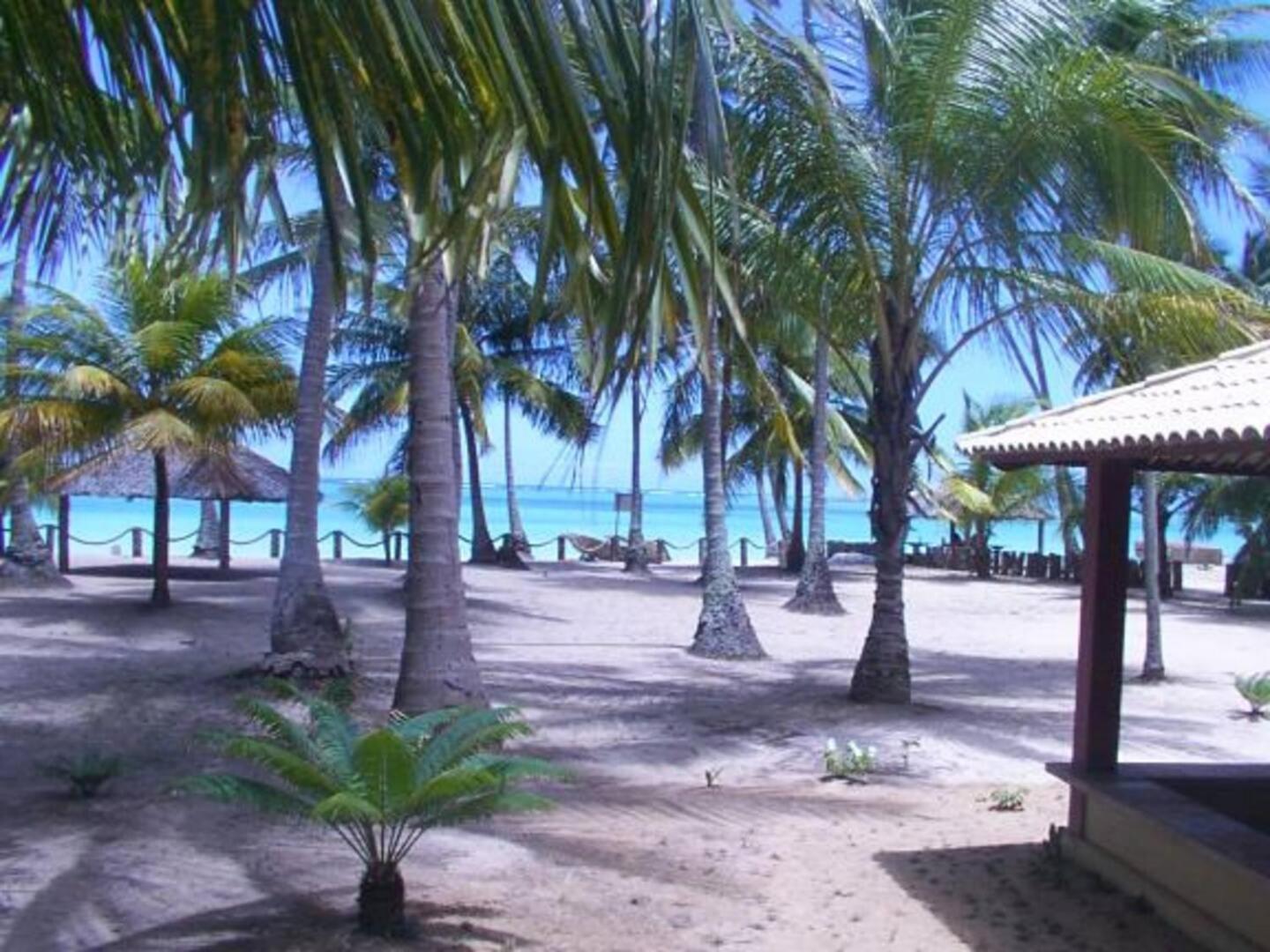 De Ponta