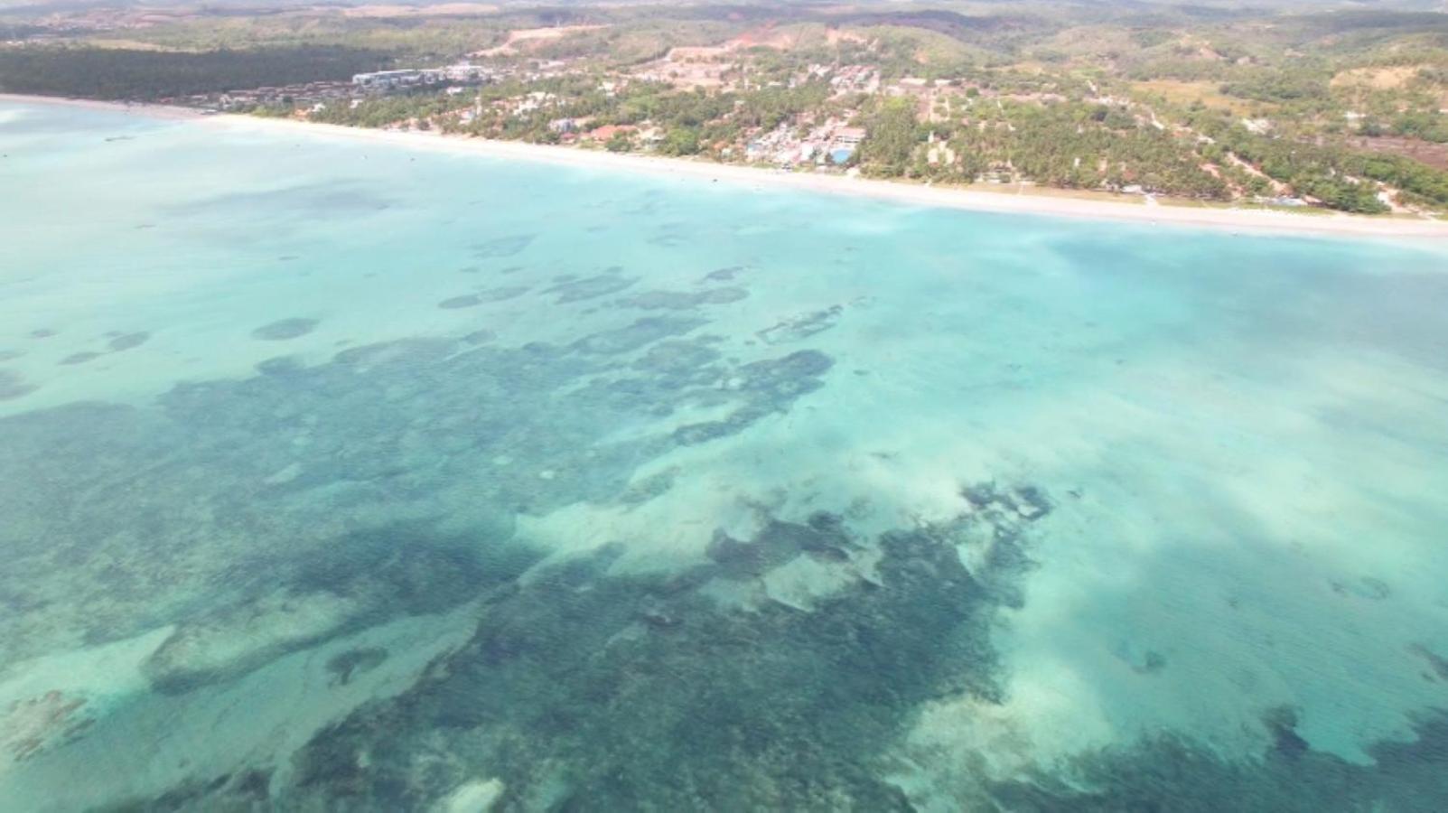 De Ponta *
