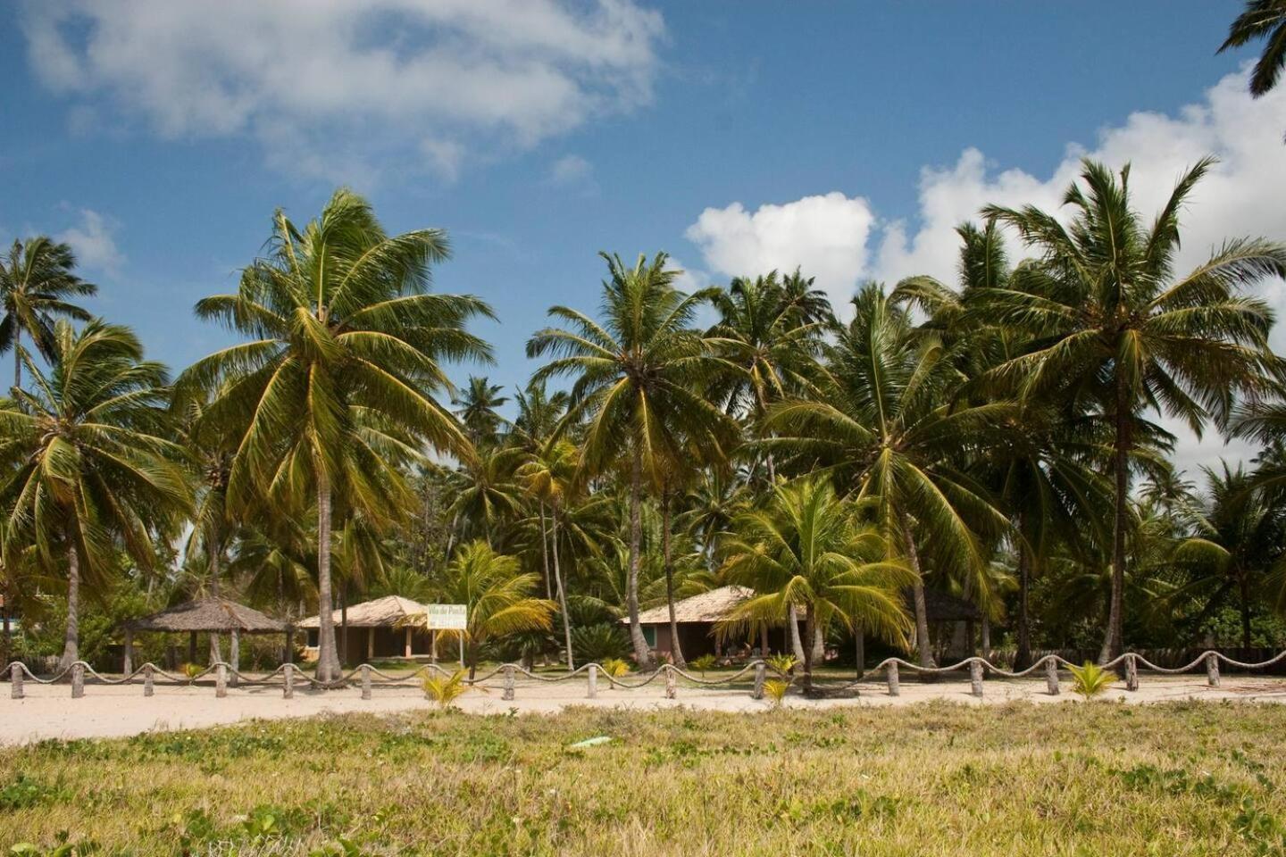 De Ponta